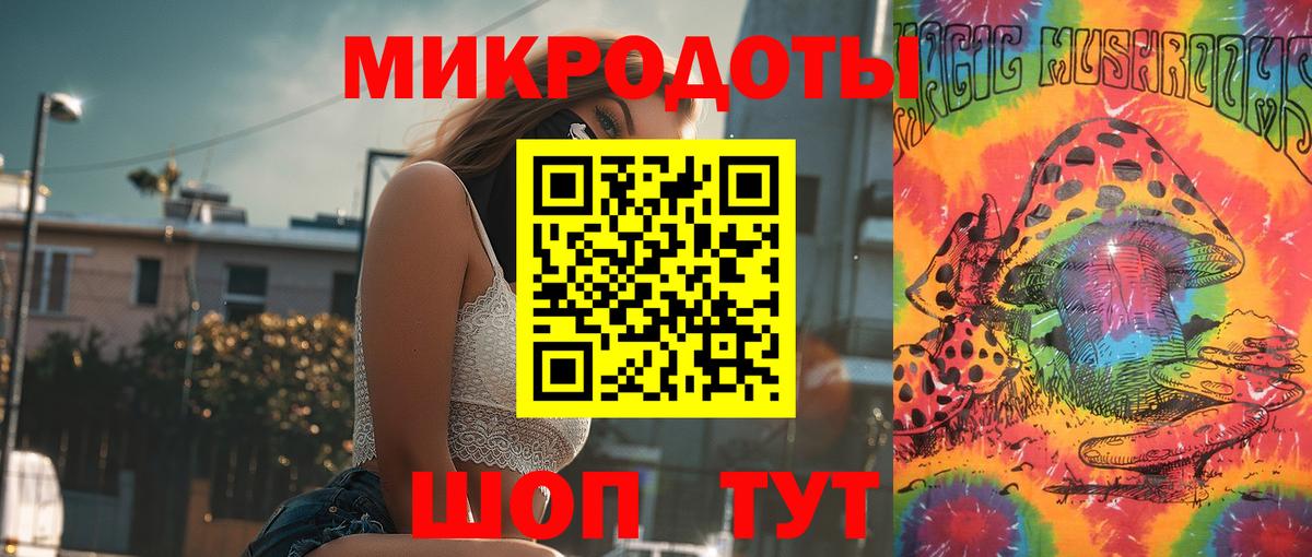 Псилоцибиновые грибы Psilocybe  Вход с VPN  Кимовск 