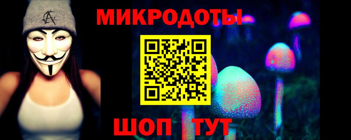 Псилоцибиновые грибы прущие грибы Кимовск